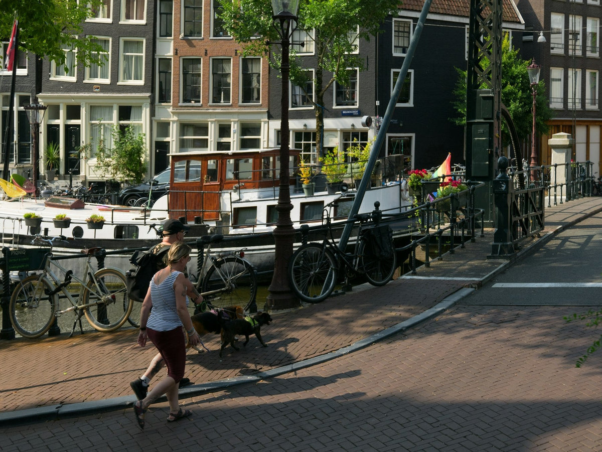 People walking two dogs on leashes along a sunny Amsterdam canal with houseboats and bicycles