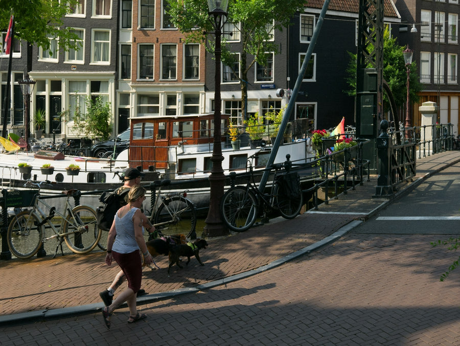 Dog Tax in the Netherlands and Belgium (2026): Leash, Poop and Chip Rules Explained