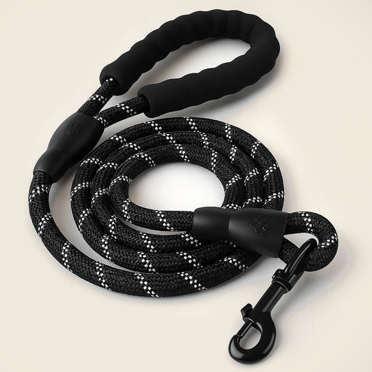 Reflective Nylon Leash