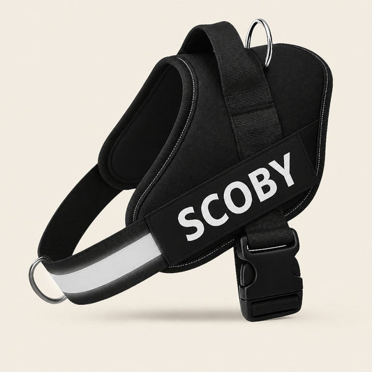 SCOBYDOG No Pull Harness