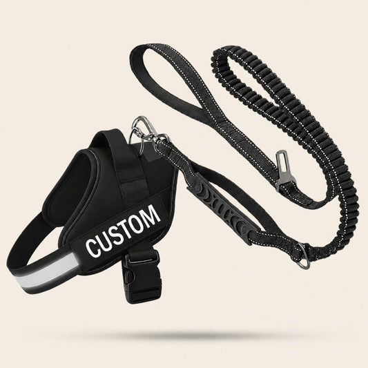 Essentials Set