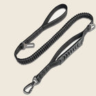 Bungee Leash
