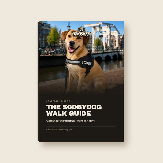 De SCOBYDOG Wandelgids (e-book)