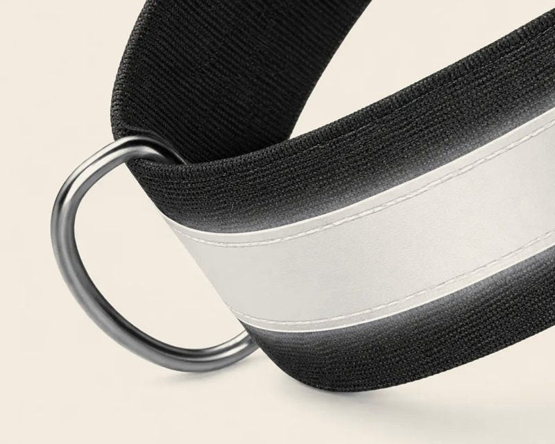 D-ring voor de borst